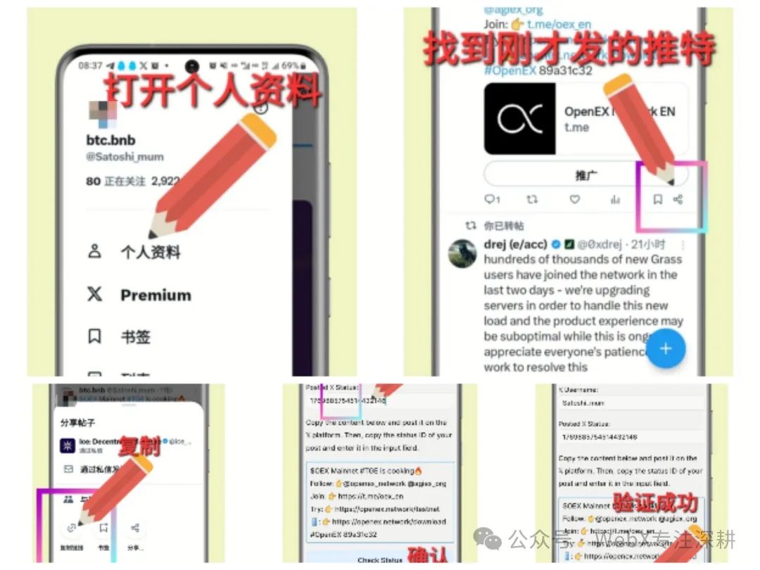 中本聪~OEX全网最新，最细、天花板级教程